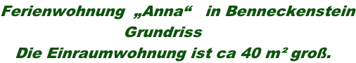 Ferienwohnung  „Anna“   in Benneckenstein                          Grundriss    Die Einraumwohnung ist ca 40 m² groß.
