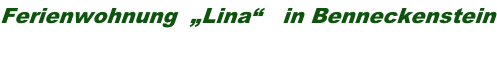 Ferienwohnung  „Lina“   in Benneckenstein