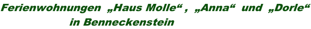 Ferienwohnungen  „Haus Molle“ ,  „Anna“  und  „Dorle“                     in Benneckenstein