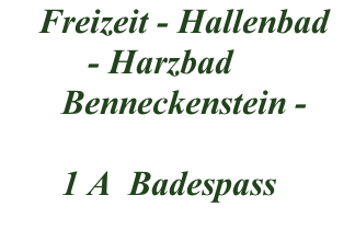 Freizeit - Hallenbad           - Harzbad        Benneckenstein -         1 A  Badespass