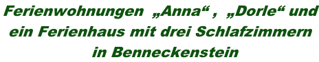 Ferienwohnungen  „Anna“ ,  „Dorle“ und  ein Ferienhaus mit drei Schlafzimmern   in Benneckenstein